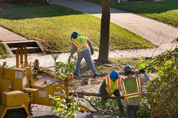Best Landscape Design and Installation  in Sneads, FL